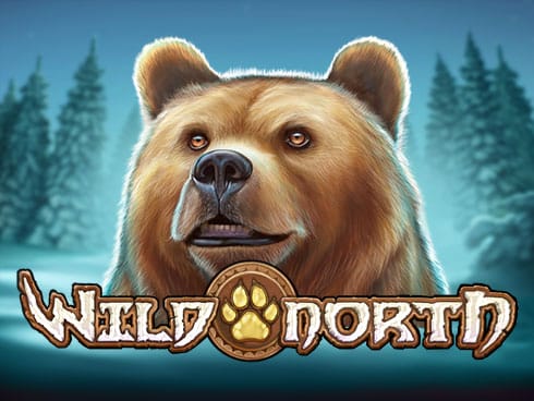 Wild North